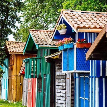 Au Coeur Du Bassin D'Arcachon,Tres Bel Appartement Avec Terrasse Audenge Εξωτερικό φωτογραφία