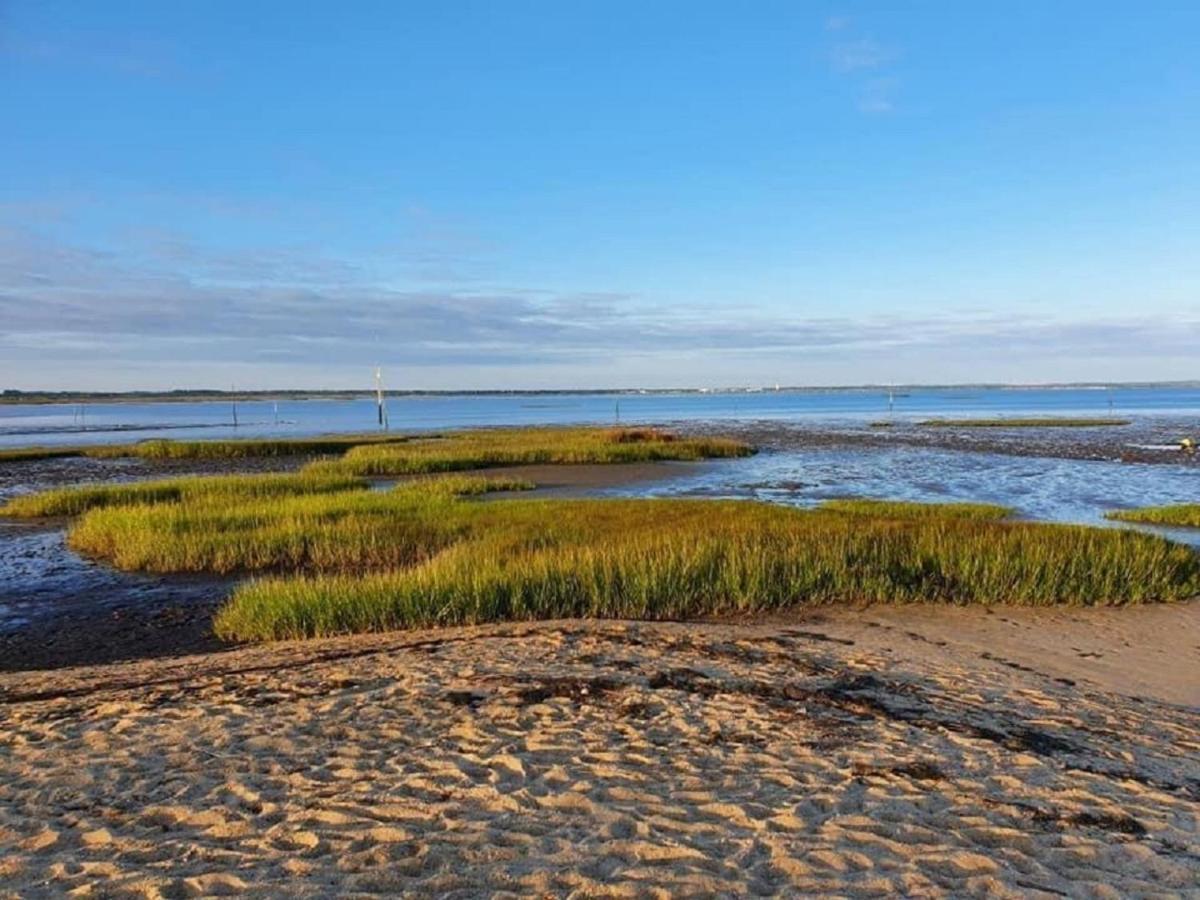 Au Coeur Du Bassin D'Arcachon,Tres Bel Appartement Avec Terrasse Audenge Εξωτερικό φωτογραφία