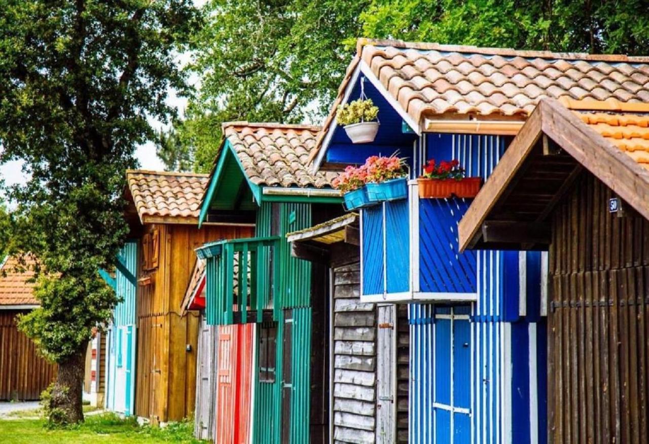 Au Coeur Du Bassin D'Arcachon,Tres Bel Appartement Avec Terrasse Audenge Εξωτερικό φωτογραφία