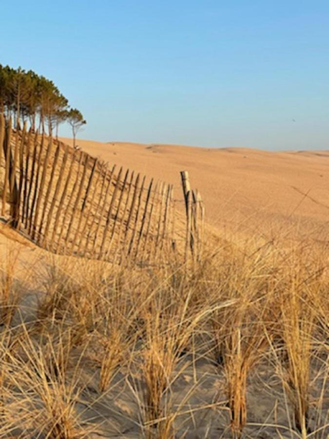 Au Coeur Du Bassin D'Arcachon,Tres Bel Appartement Avec Terrasse Audenge Εξωτερικό φωτογραφία
