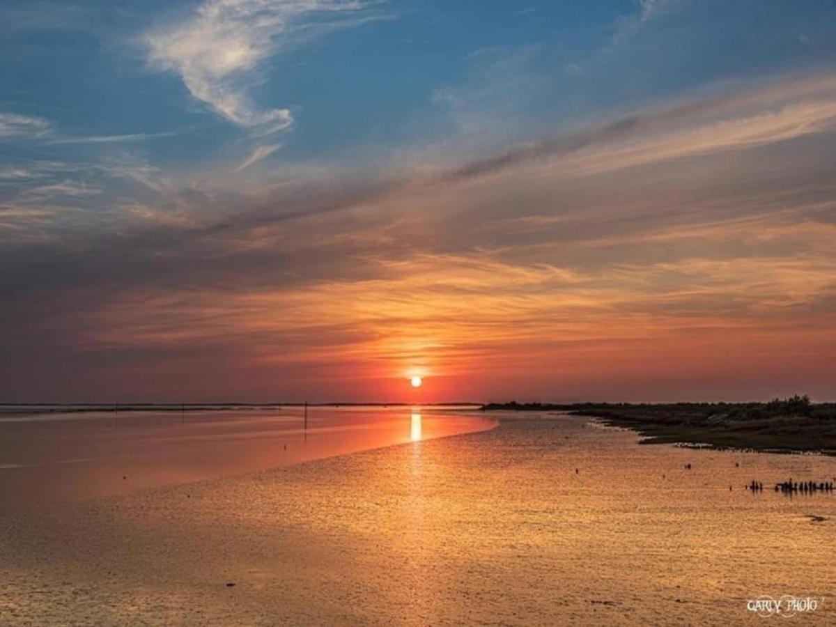 Au Coeur Du Bassin D'Arcachon,Tres Bel Appartement Avec Terrasse Audenge Εξωτερικό φωτογραφία