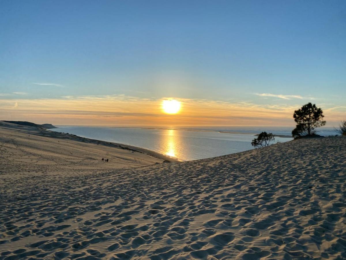 Au Coeur Du Bassin D'Arcachon,Tres Bel Appartement Avec Terrasse Audenge Εξωτερικό φωτογραφία